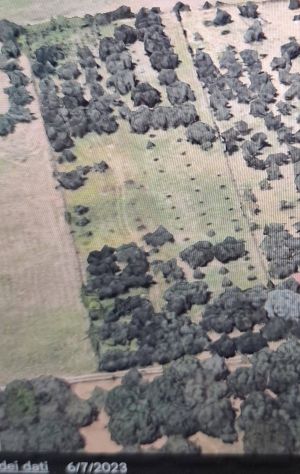 terreno agricolo in vendita a Guidonia Montecelio in zona Guidonia