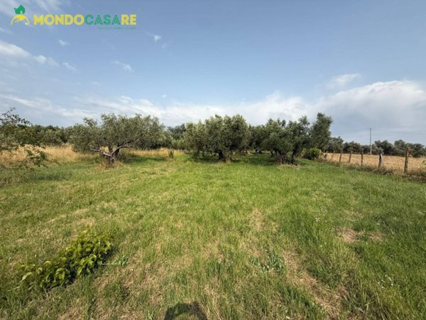 terreno agricolo in vendita a Guidonia Montecelio in zona Guidonia