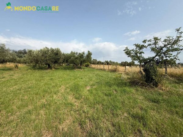 terreno agricolo in vendita a Guidonia Montecelio in zona Guidonia