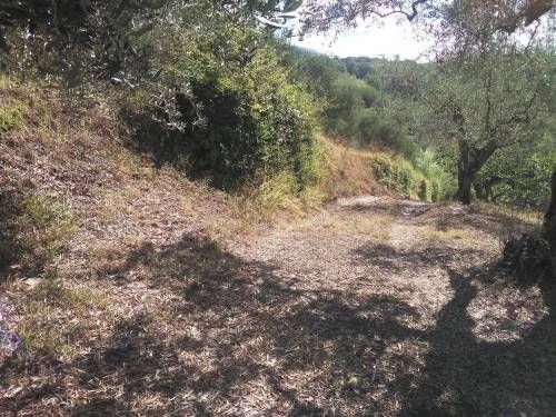 terreno agricolo in vendita a Guidonia Montecelio in zona Guidonia