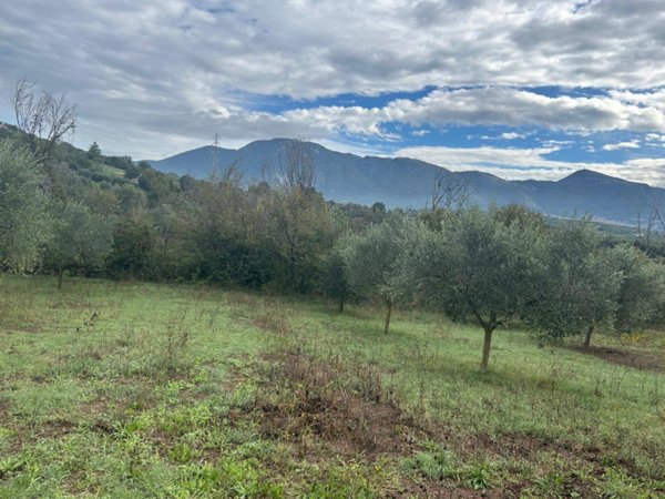 terreno agricolo in vendita a Guidonia Montecelio in zona Guidonia