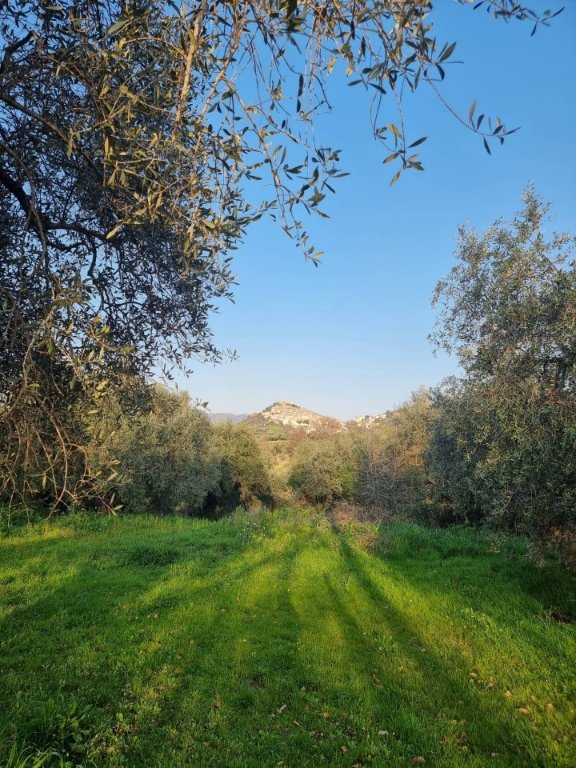 terreno agricolo in vendita a Guidonia Montecelio in zona Montecelio
