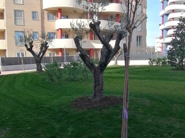appartamento in vendita a Guidonia Montecelio in zona Guidonia