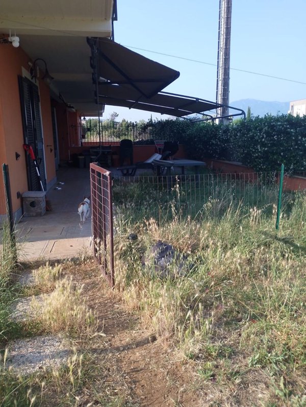 appartamento in vendita a Guidonia Montecelio