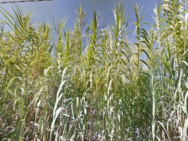 appartamento in vendita a Guidonia Montecelio in zona Montecelio