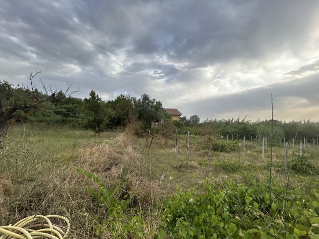 terreno agricolo in vendita a Guidonia Montecelio in zona Guidonia