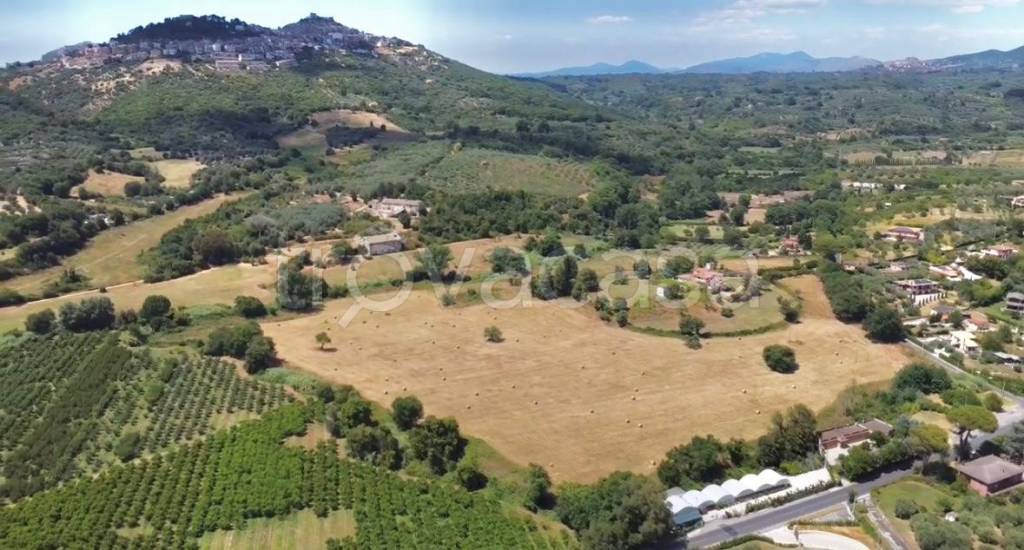 terreno agricolo in vendita a Guidonia Montecelio in zona Montecelio