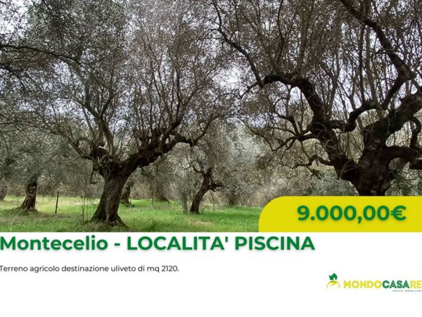 terreno agricolo in vendita a Guidonia Montecelio in zona Montecelio