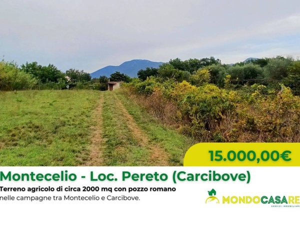 terreno agricolo in vendita a Guidonia Montecelio in zona Montecelio