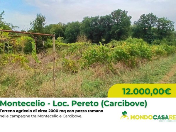 terreno agricolo in vendita a Guidonia Montecelio in zona Montecelio