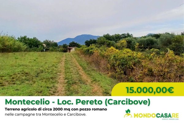 terreno agricolo in vendita a Guidonia Montecelio in zona Montecelio