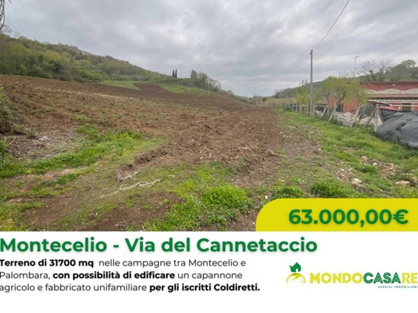 terreno agricolo in vendita a Guidonia Montecelio in zona Montecelio
