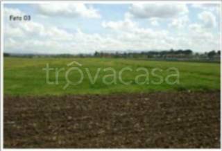 terreno agricolo in vendita a Guidonia Montecelio in zona La Botte