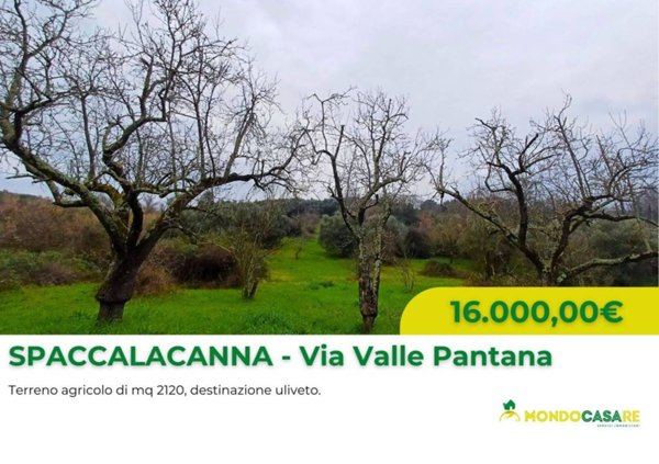 terreno agricolo in vendita a Guidonia Montecelio in zona Montecelio