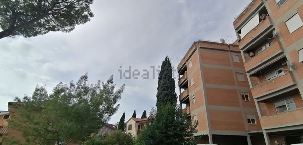 appartamento in vendita a Guidonia Montecelio in zona Guidonia
