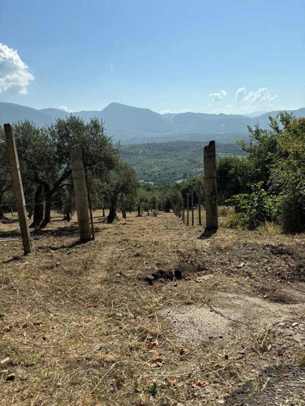 terreno agricolo in vendita a Guidonia Montecelio in zona Guidonia