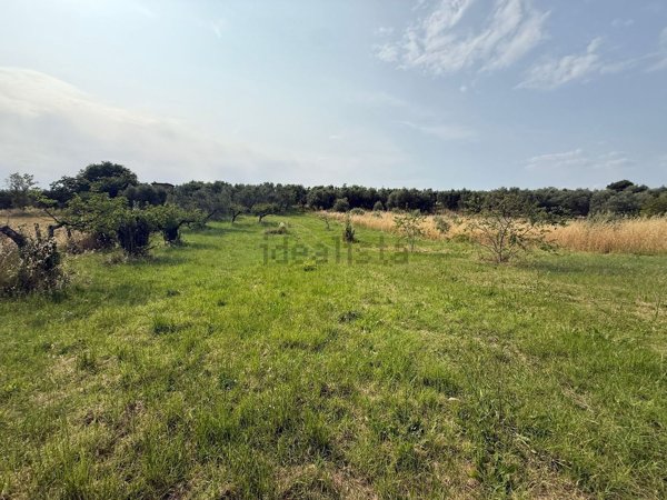 terreno agricolo in vendita a Guidonia Montecelio in zona Guidonia