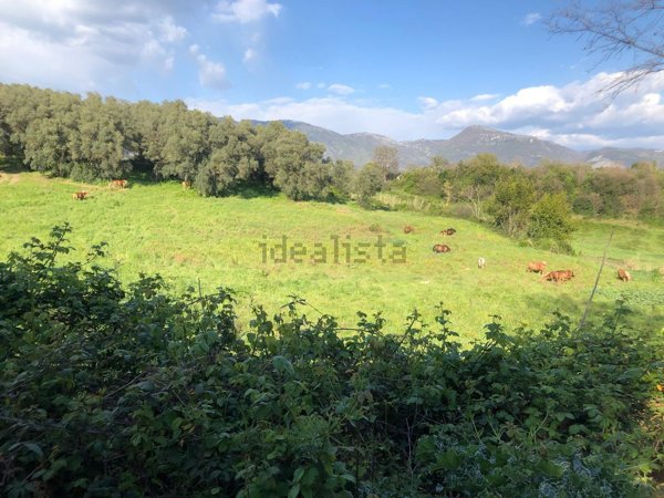 terreno edificabile in vendita a Guidonia Montecelio in zona Guidonia