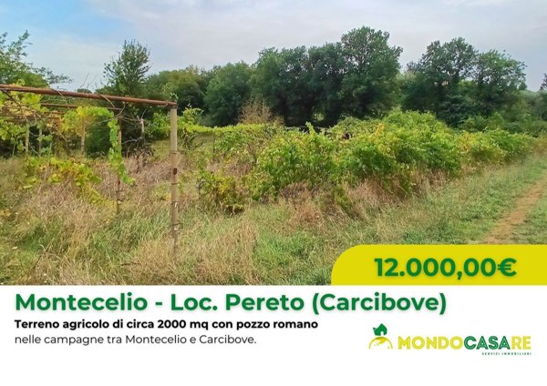 terreno agricolo in vendita a Guidonia Montecelio in zona Montecelio