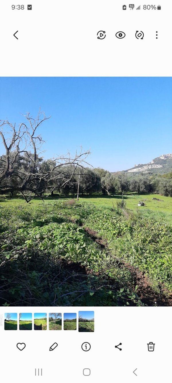 terreno agricolo in vendita a Guidonia Montecelio