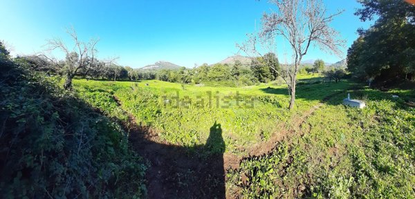 terreno agricolo in vendita a Guidonia Montecelio