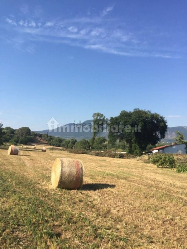 terreno agricolo in vendita a Guidonia Montecelio in zona Colle Spinello