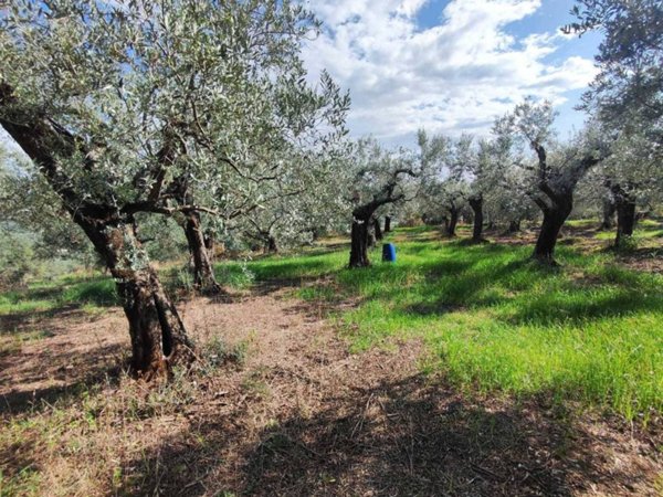 terreno agricolo in vendita a Guidonia Montecelio in zona La Botte