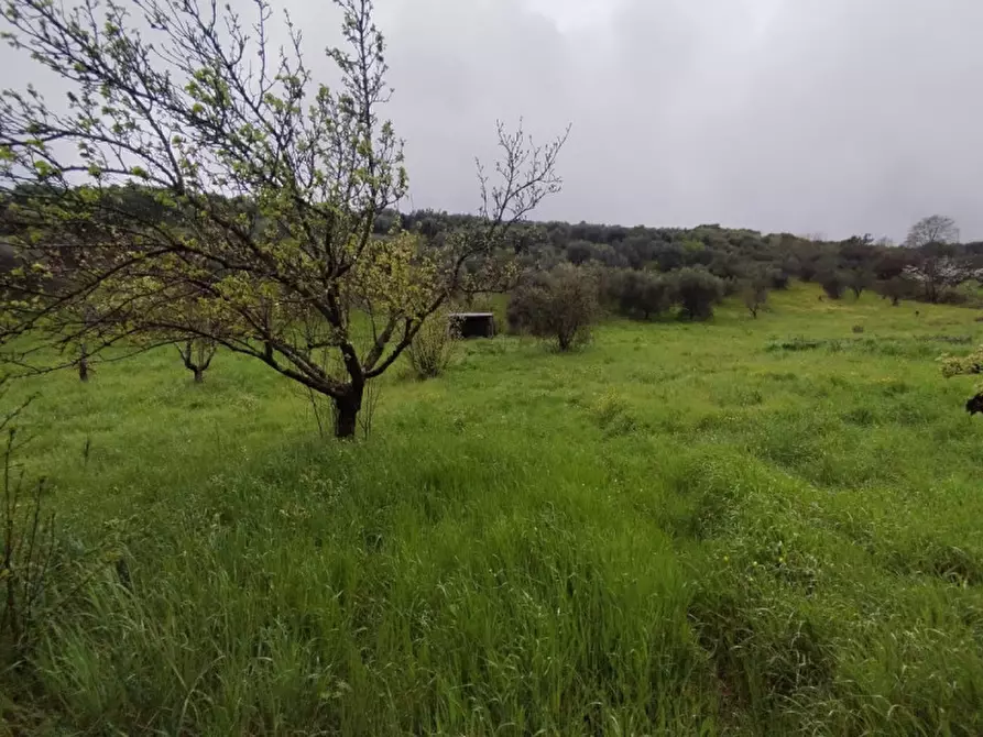 mansarda in vendita a Guidonia Montecelio