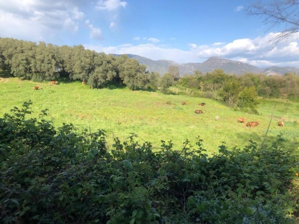 terreno edificabile in vendita a Guidonia Montecelio in zona Guidonia