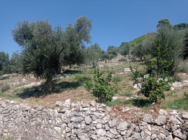 terreno edificabile in vendita a Guidonia Montecelio in zona Montecelio