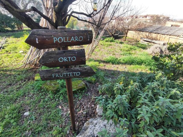 terreno agricolo in vendita a Guidonia Montecelio