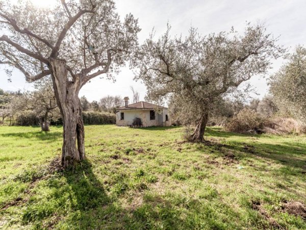 terreno agricolo in vendita a Guidonia Montecelio in zona Montecelio