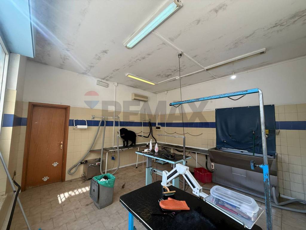 negozio in vendita a Guidonia Montecelio in zona Guidonia