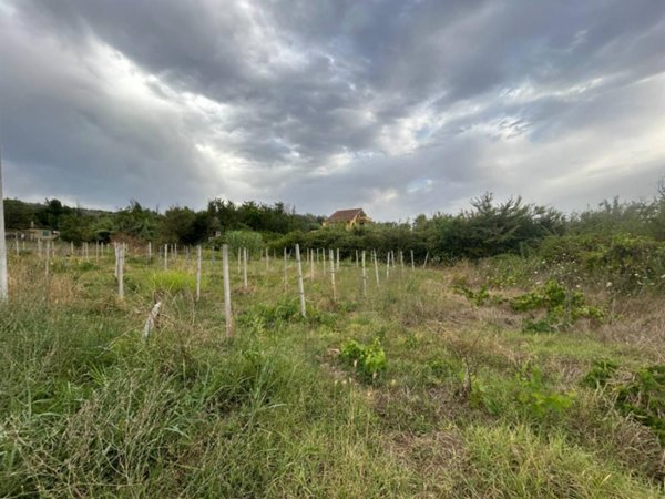 terreno agricolo in vendita a Guidonia Montecelio in zona Guidonia