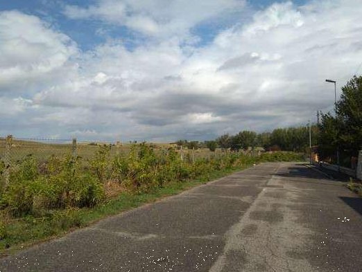 terreno agricolo in vendita a Guidonia Montecelio
