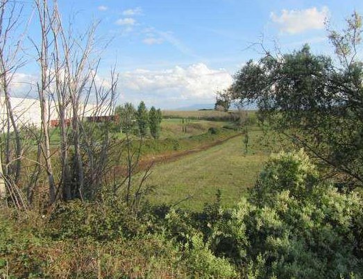 terreno agricolo in vendita a Guidonia Montecelio