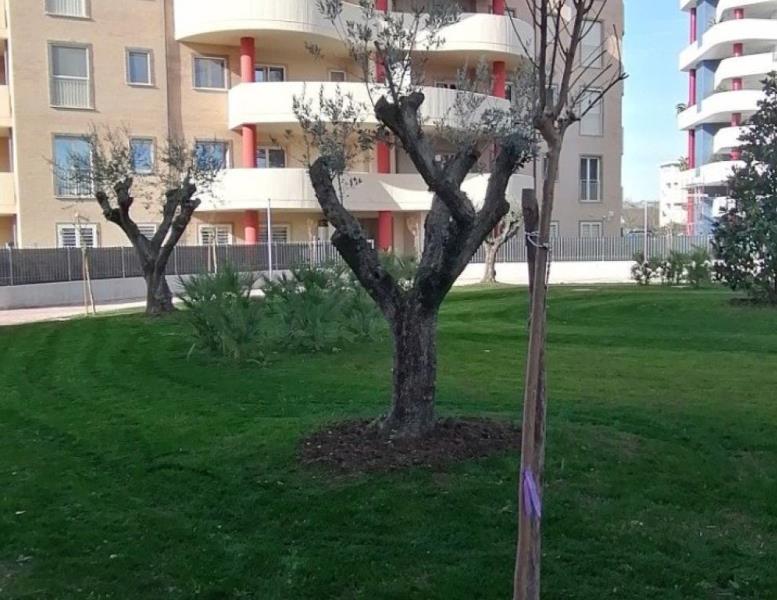 appartamento in vendita a Guidonia Montecelio