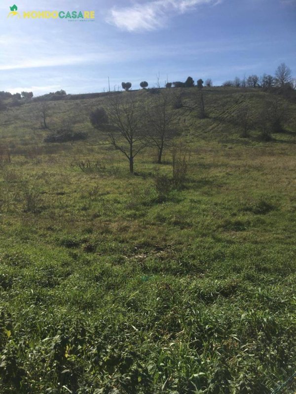 terreno agricolo in vendita a Guidonia Montecelio
