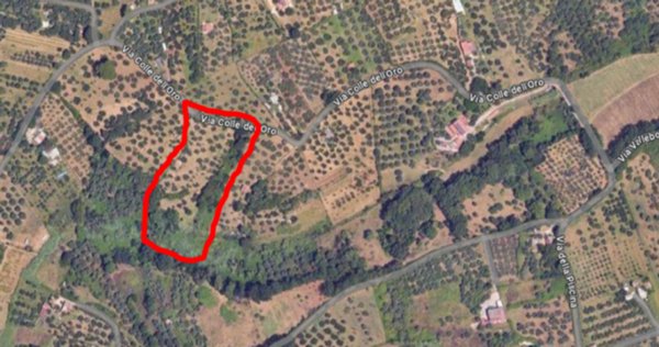 terreno agricolo in vendita a Guidonia Montecelio