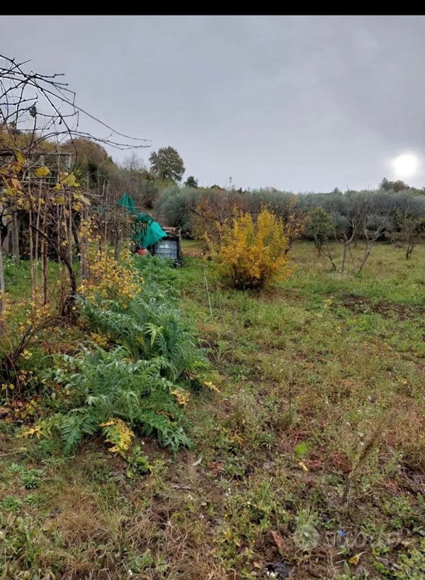 terreno agricolo in vendita a Guidonia Montecelio