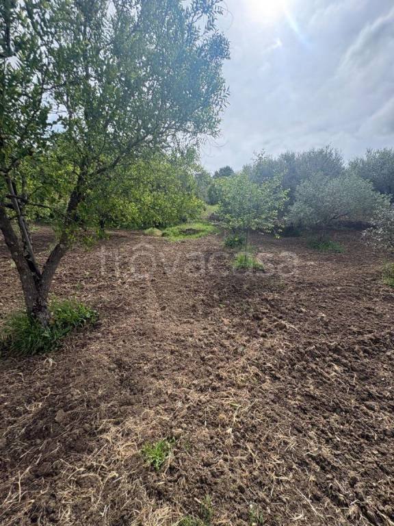 terreno agricolo in vendita a Guidonia Montecelio in zona Montecelio