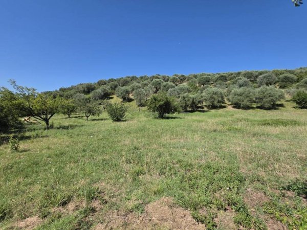 terreno agricolo in vendita a Guidonia Montecelio