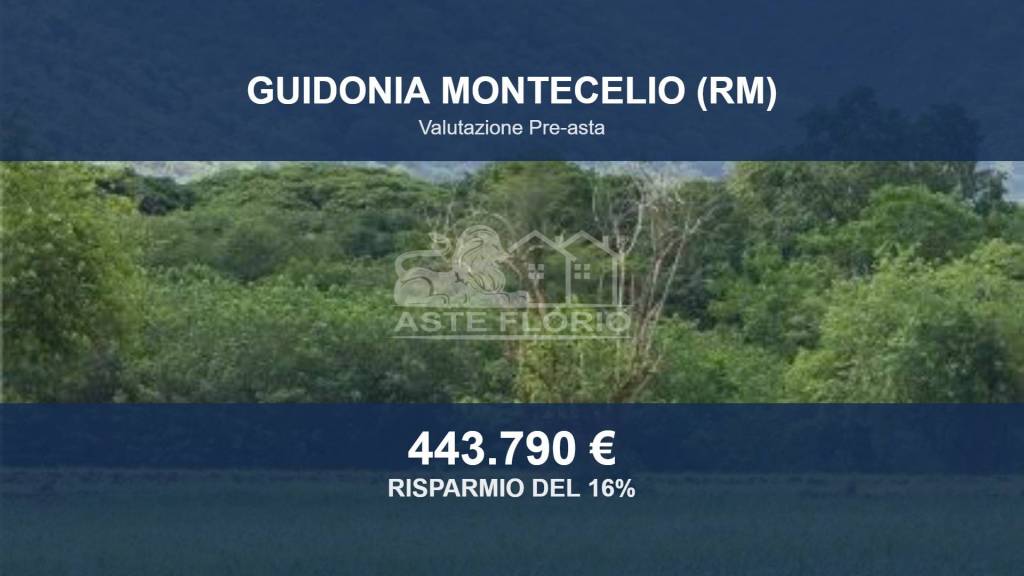 terreno agricolo in vendita a Guidonia Montecelio in zona Marco Simone
