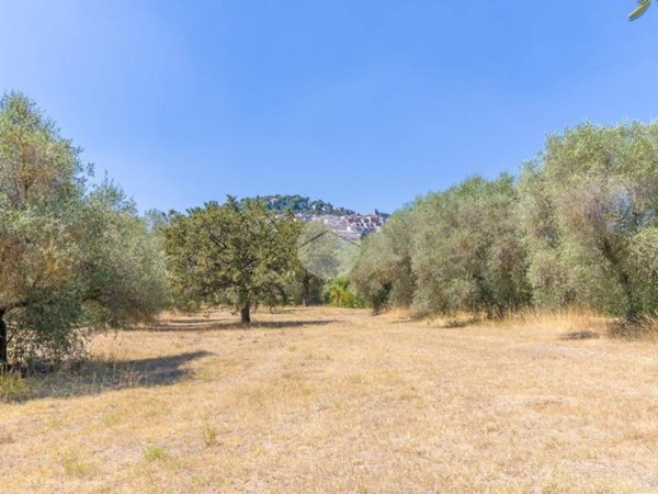 terreno agricolo in vendita a Guidonia Montecelio in zona Colle Spinello