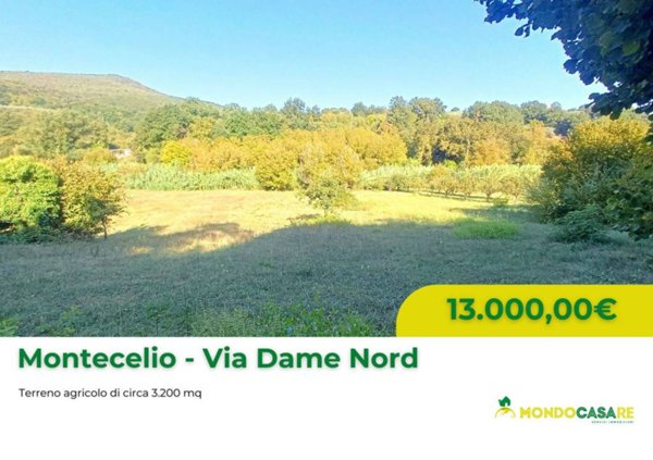 terreno agricolo in vendita a Guidonia Montecelio in zona Montecelio