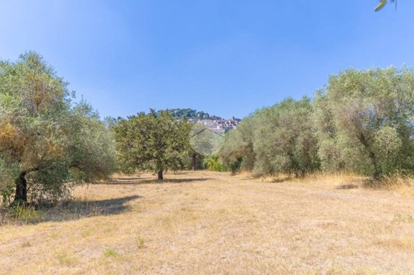 terreno agricolo in vendita a Guidonia Montecelio in zona Colle Spinello