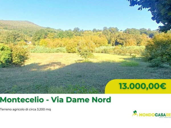 terreno agricolo in vendita a Guidonia Montecelio in zona Montecelio