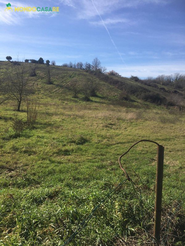 terreno agricolo in vendita a Guidonia Montecelio in zona Montecelio