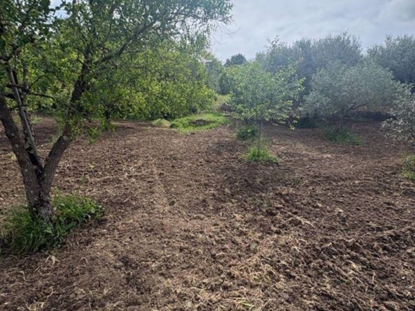 terreno agricolo in vendita a Guidonia Montecelio in zona Montecelio