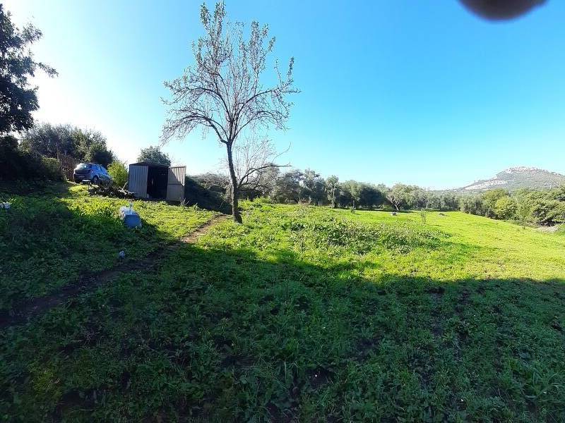 terreno in vendita a Guidonia Montecelio in zona Colle Spinello